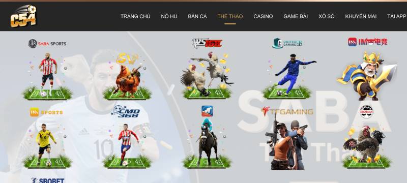 C54 – Nhà Cái Uy Tín, Giải Trí Đỉnh Cao Cho Game Thủ Việt 9 Cá cược thể thao – đỉnh cao mọi trận đấu