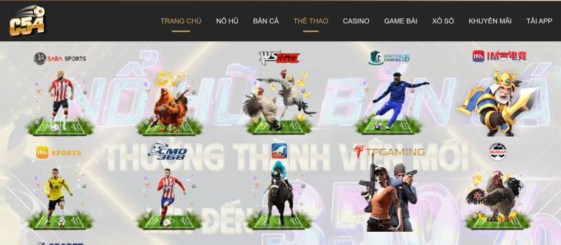 Cách Kiếm Tiền Từ Cá Cược Thể Thao Từ Dân Cá Độ Lâu Năm 7 Chọn đúng nhà cái