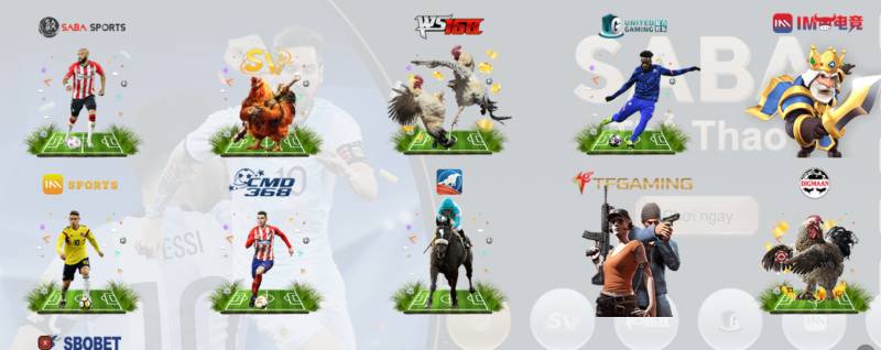 Giới Thiệu Thể Thao C54 – Sảnh Cá Cược Đa Dạng, Kèo Ngon 5 Danh sách sảnh thể thao đỉnh cao – Mỗi sảnh là một “thế giới kèo” riêng biệt